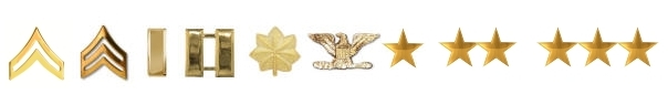 Police Rank Insignia